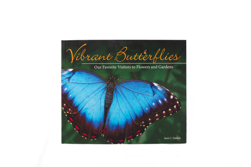 Vibrant Butterflies