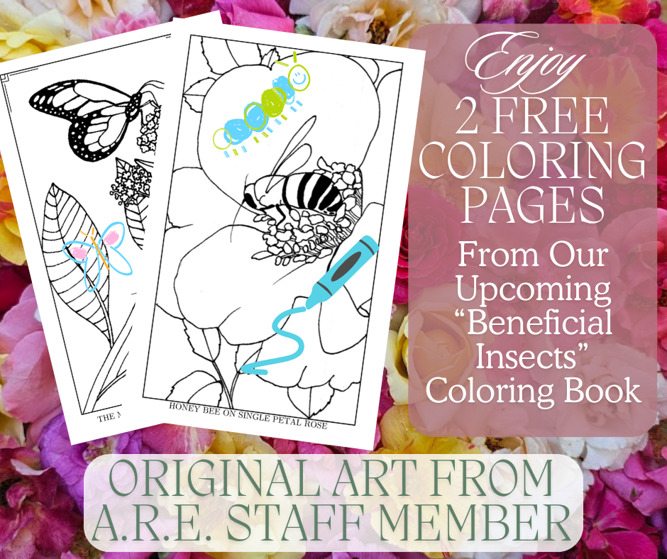 "Beneficial Insects" Coloring Page Teasers *DIGITAL DOWNLOAD*