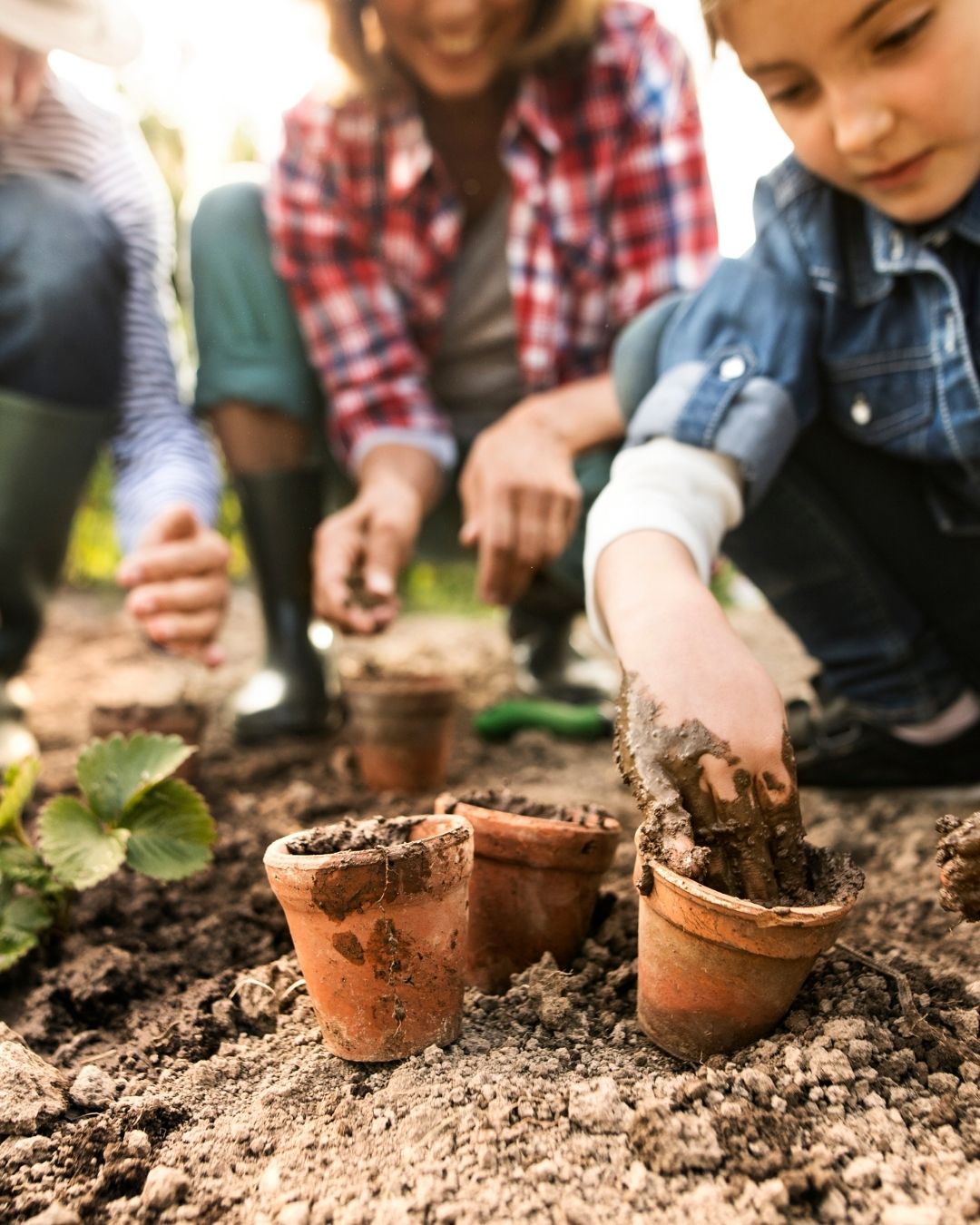 Family Gardening / Gardening with Children