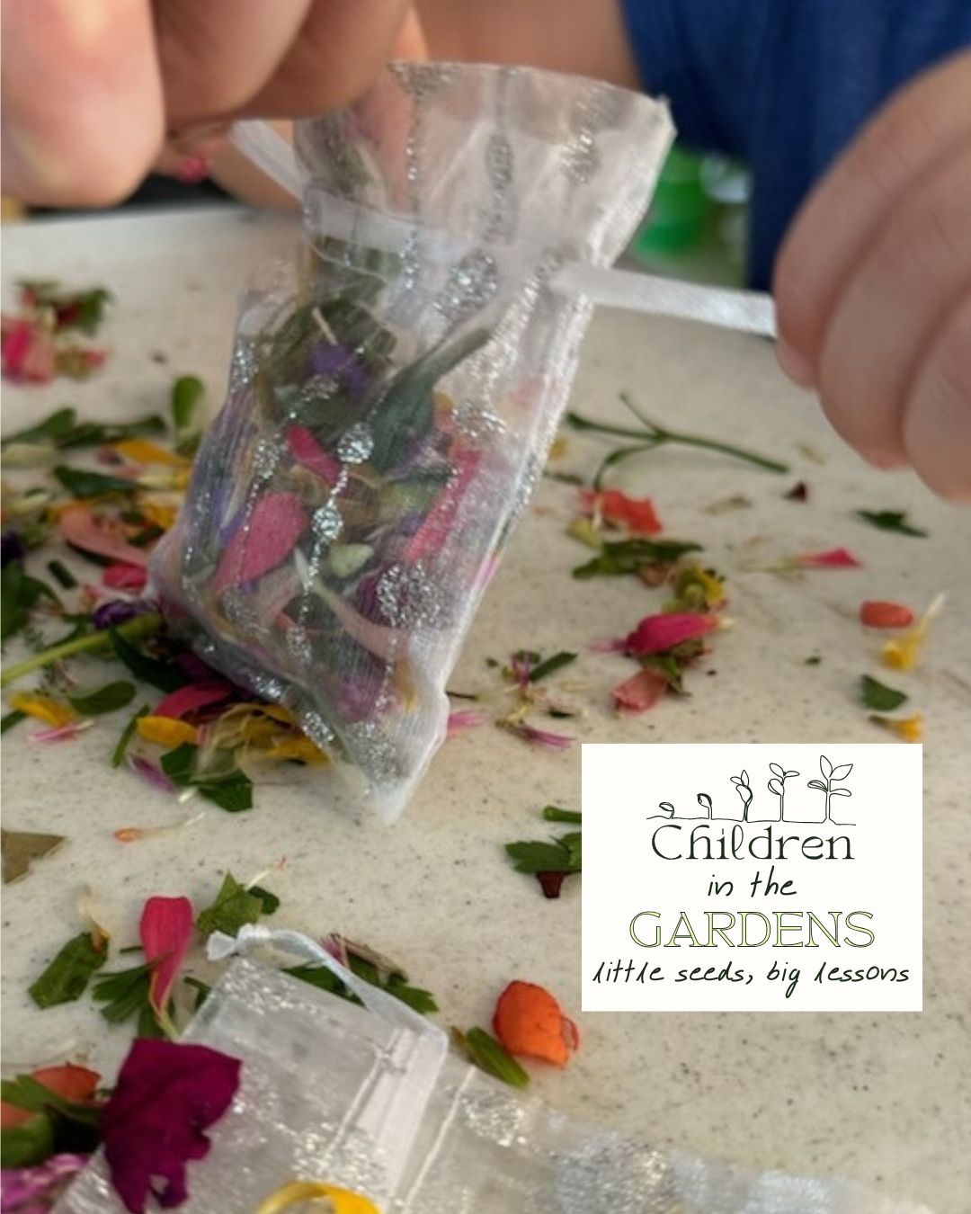 Breaking and Making- Children in the Gardens