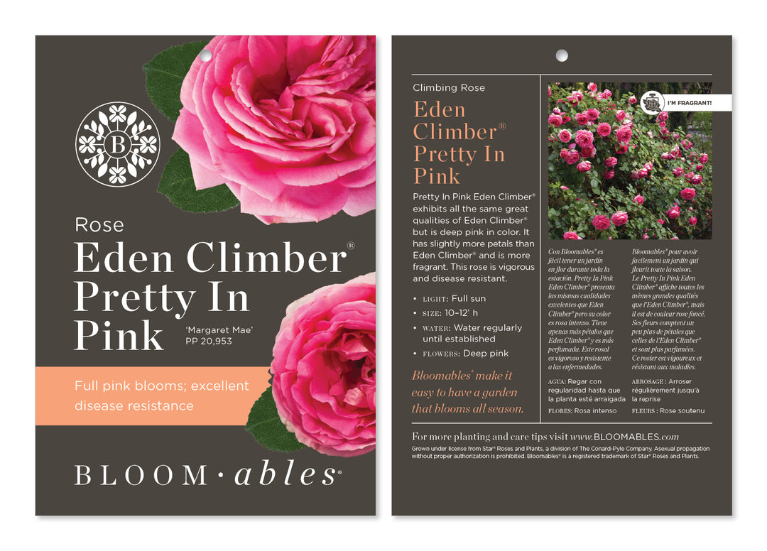 Eden Climber® Pretty In Pink