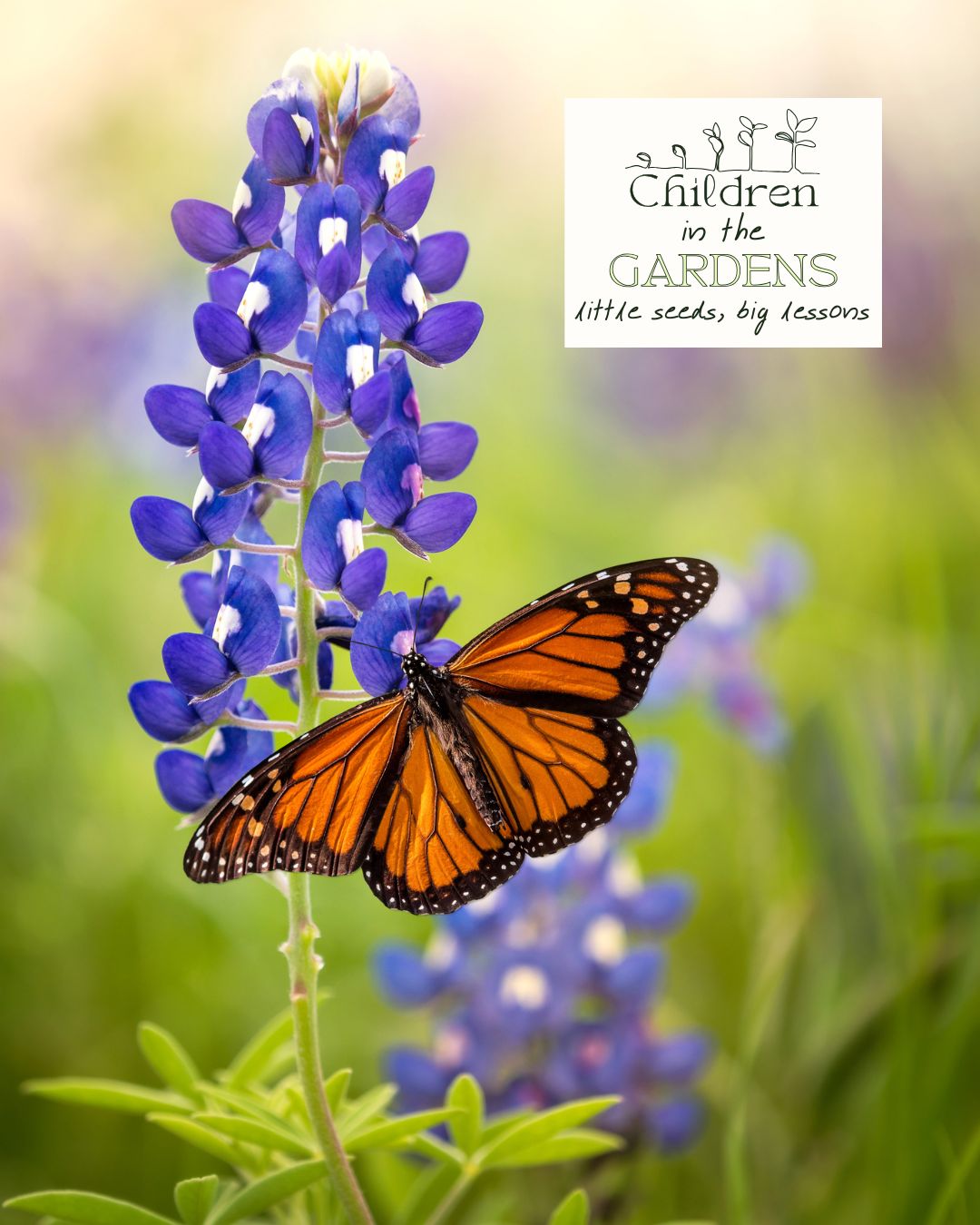 Nature Nectar- Children in the Gardens