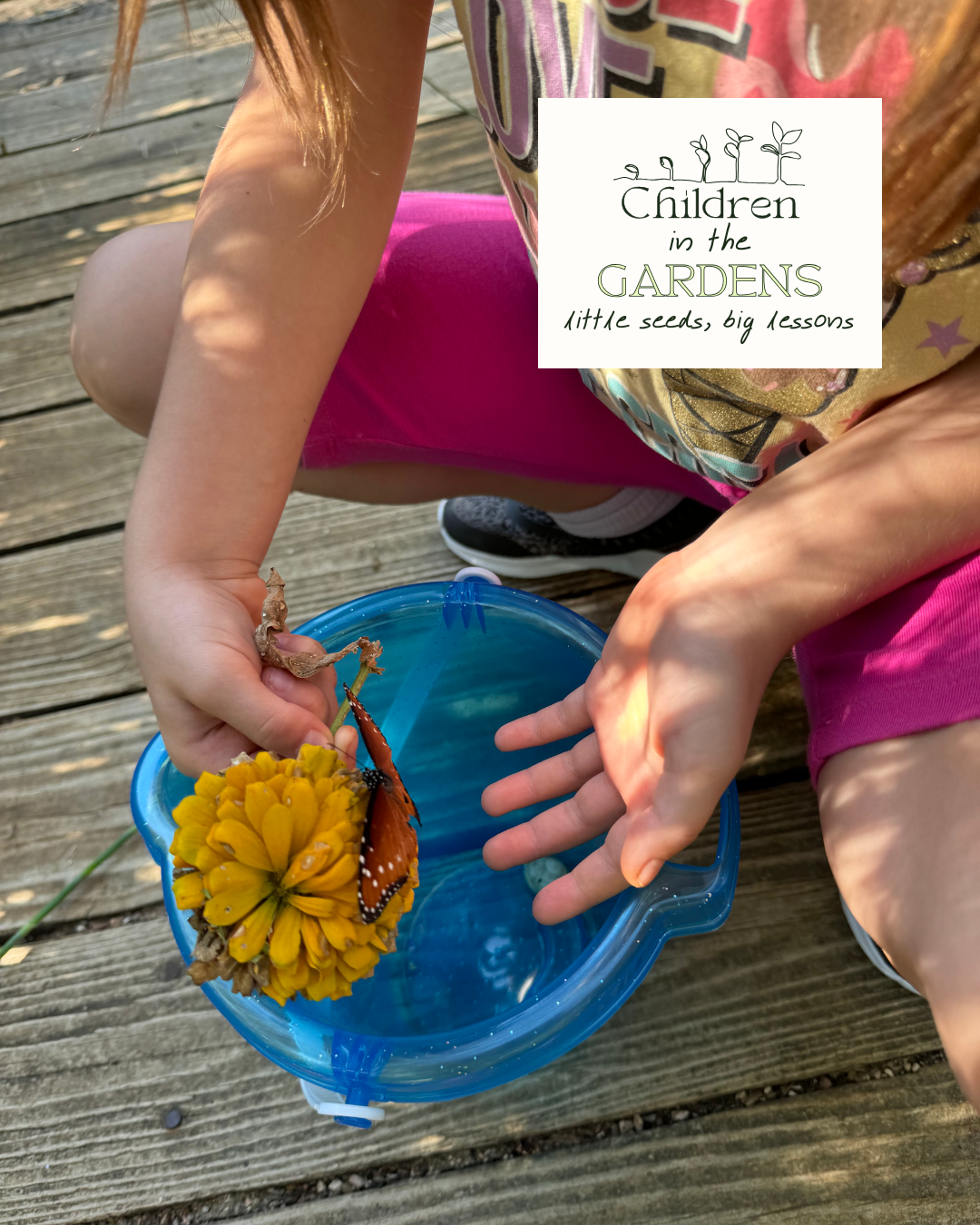 Our Senses- Children in the Gardens