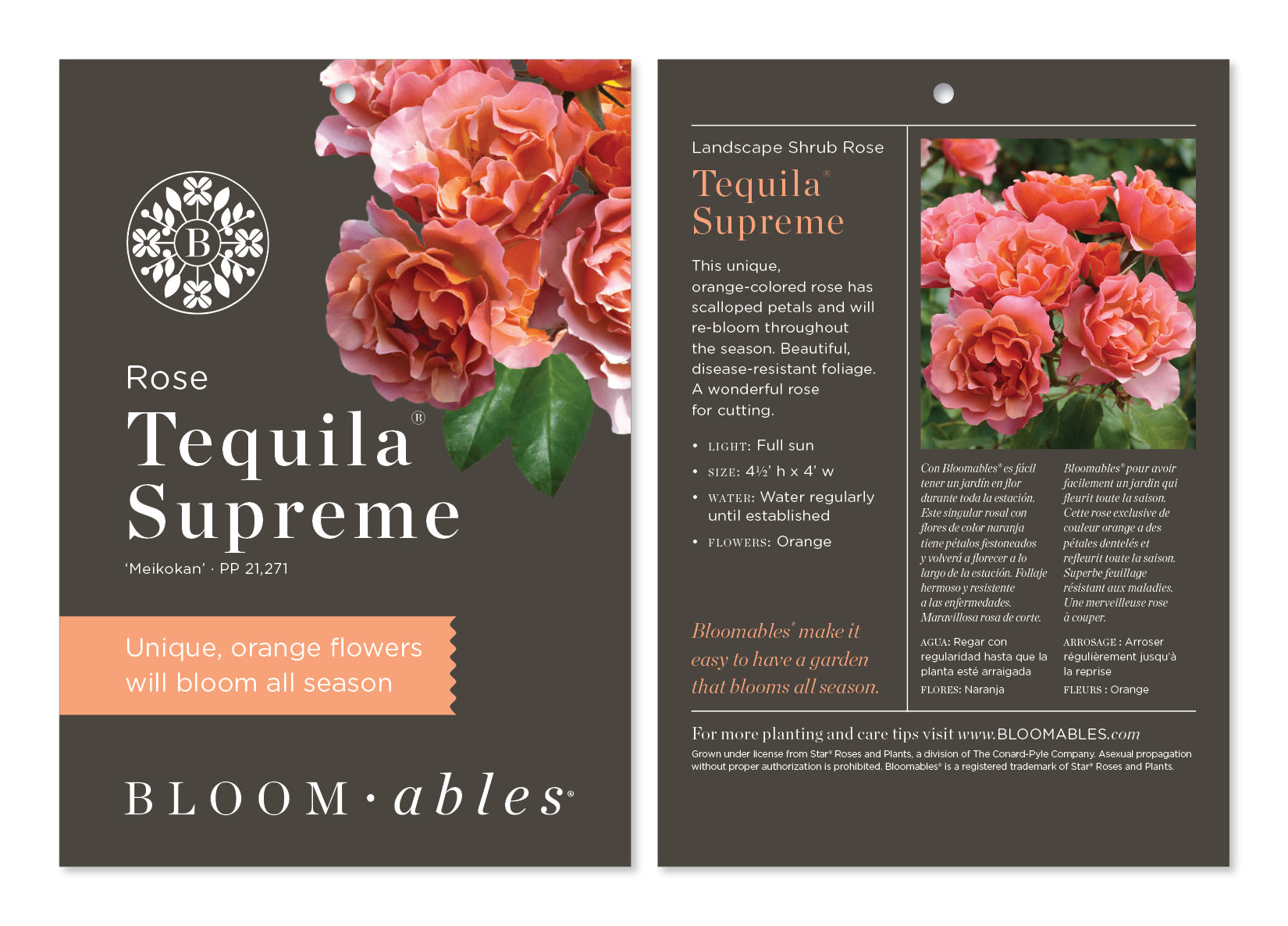 Tequila Supreme Rose