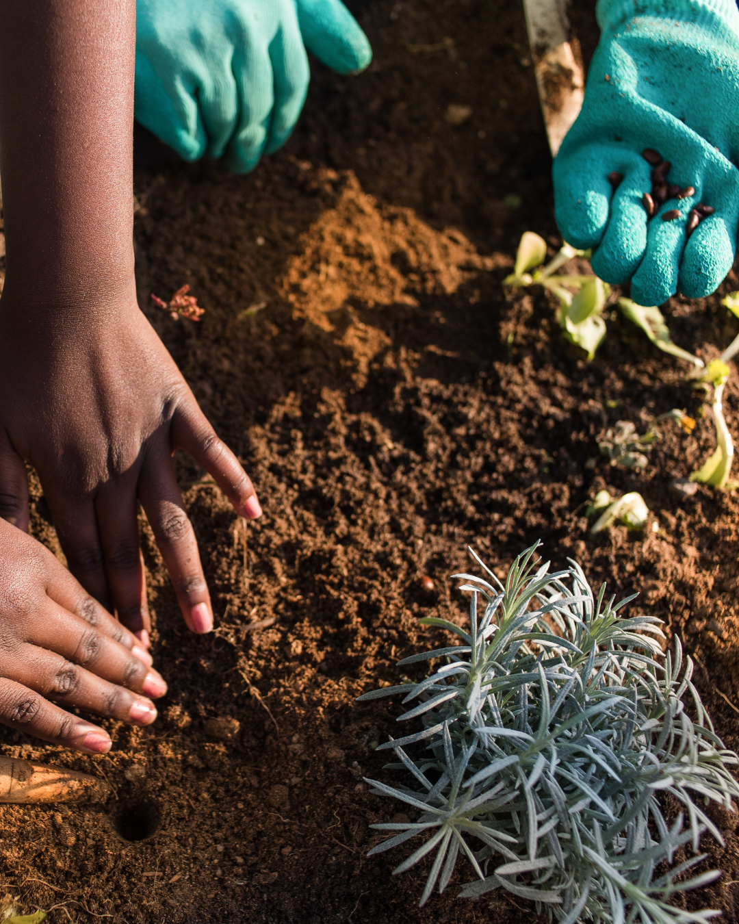 Container Planting