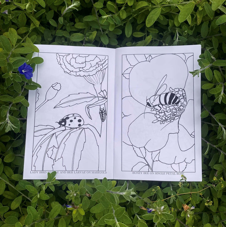 Friends in the Gardens: Beneficial Insects Coloring Book