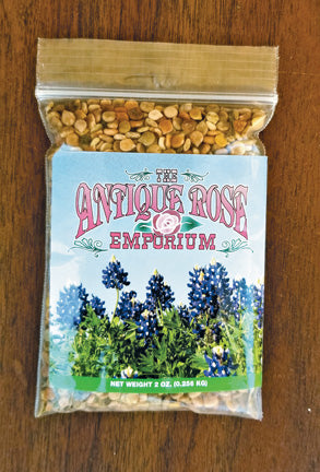 Bluebonnet Seed (2oz)