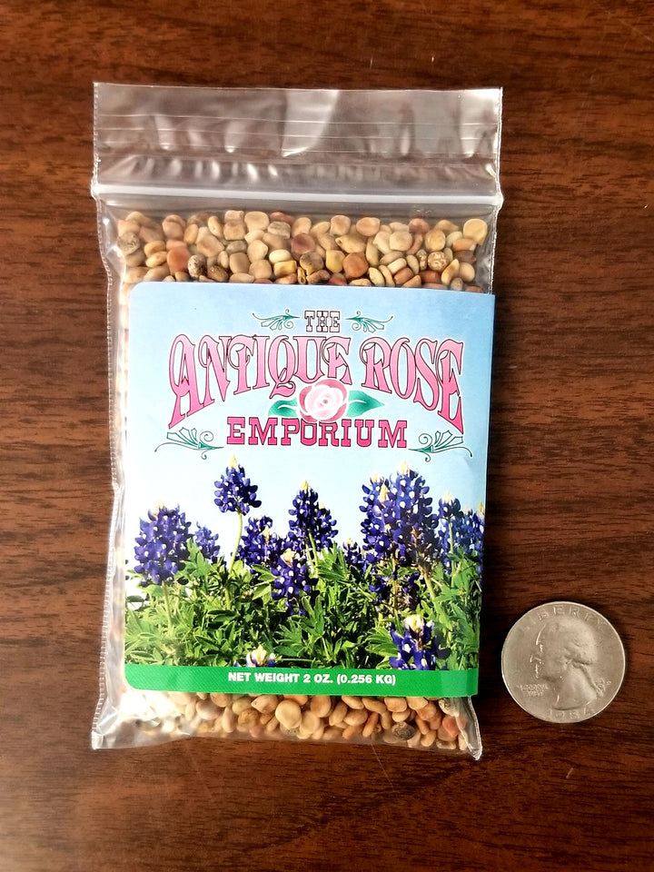 Bluebonnet Seed (2oz)